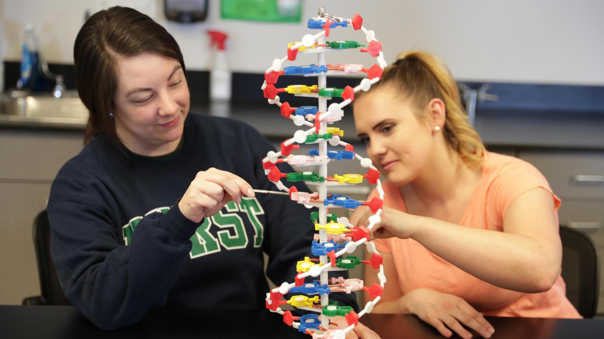 two female students examine a dna model structure