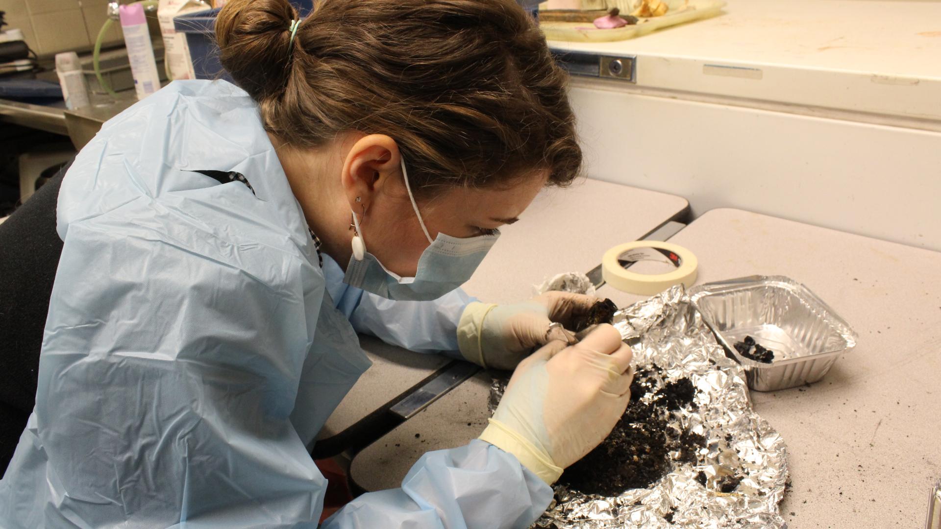 a female forensic science student investigates a dirt sample