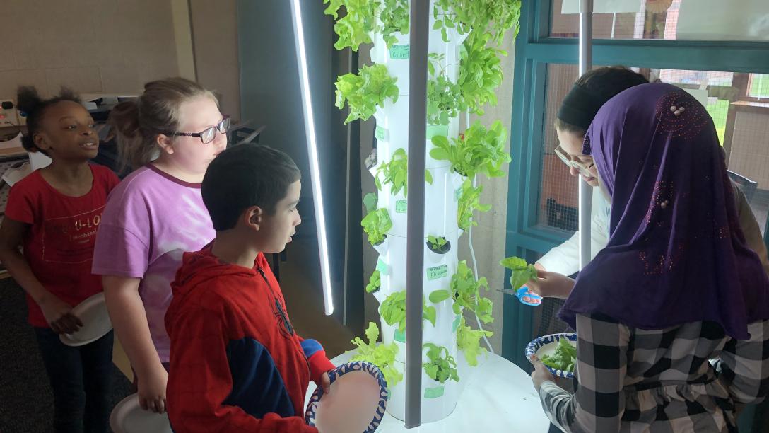 Students look at indoor herb garden